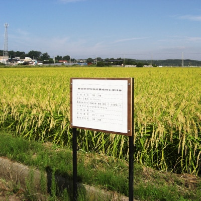 あさゆき米「つがる雪舞」 2kg 特別栽培米 令和7年産 [0885]