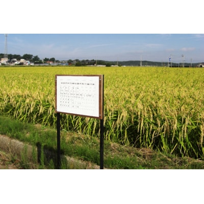 あさゆき米「つがる雪舞」 2kg 特別栽培米 令和7年産 [0885]