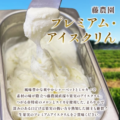 藤農園のプレミアム果物アイスクリん 120ml×6個セット [0635]