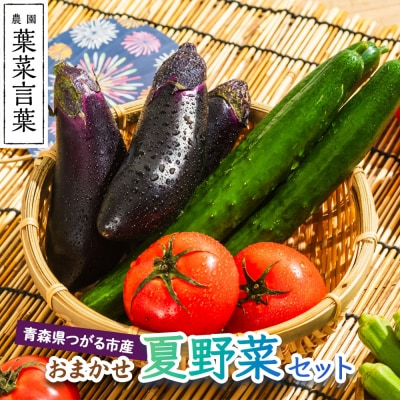 葉菜言葉のおまかせ夏野菜セット [0636]