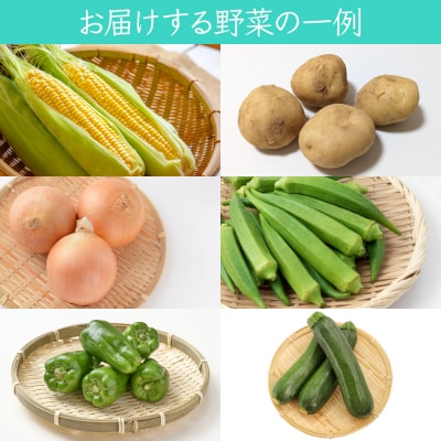 葉菜言葉のおまかせ夏野菜セット [0636]