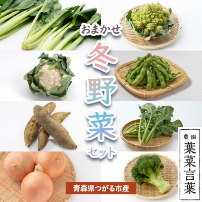 葉菜言葉のおまかせ冬野菜セット [0637]