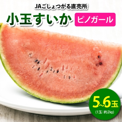 小玉すいか (ピノガール) 5玉から6玉入 [0645]