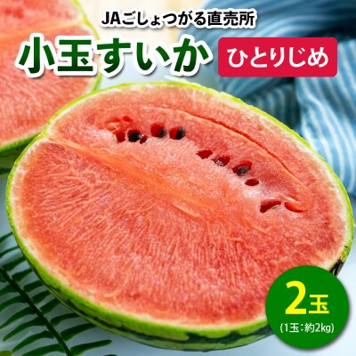 小玉すいか (ひとりじめ) 2玉入 [0842]
