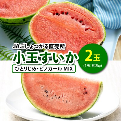 小玉すいか (ひとりじめ・ピノガール MIX) 2玉入 [0843]