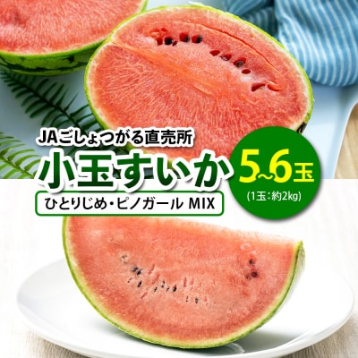 小玉すいか (ひとりじめ・ピノガール MIX) 5玉から6玉入 [0647]