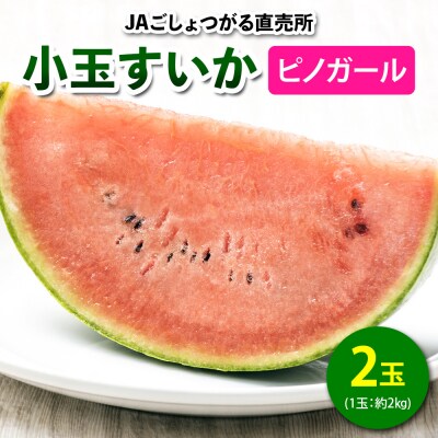 小玉すいか (ピノガール) 2玉入 [0643]