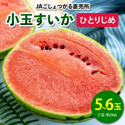 小玉すいか (ひとりじめ) 5玉から6玉入 [0644]