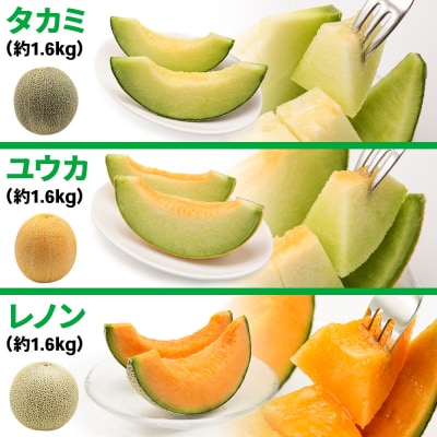 満喫!つがるメロン食べ比べセット (タカミ・ユウカ・レノン) 各1.6kg 3玉セット [0669]