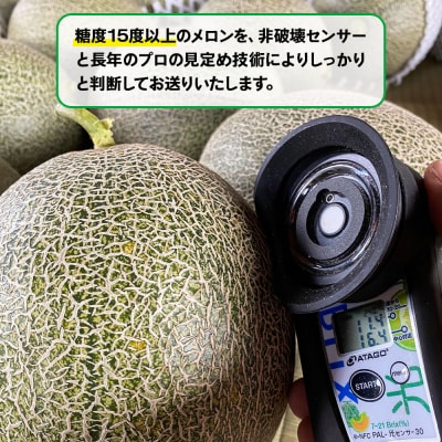 満喫!つがるメロン食べ比べセット (タカミ・ユウカ・レノン) 各1.6kg 3玉セット [0669]