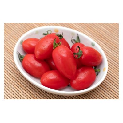 愛菜果えりーと倶楽部のミニトマト アイコ12袋 [0672]