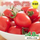 愛菜果えりーと倶楽部のミニトマト アイコ24袋 [0673]