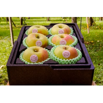 [贈答用] 名月【約2kg 6玉入り】[0678]