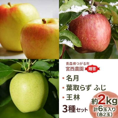 [贈答用] 名月×葉取らずふじ×王林 [0682]