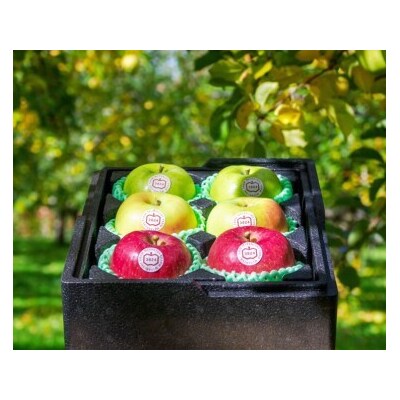 [贈答用] 名月×葉取らずふじ×王林 [0682]