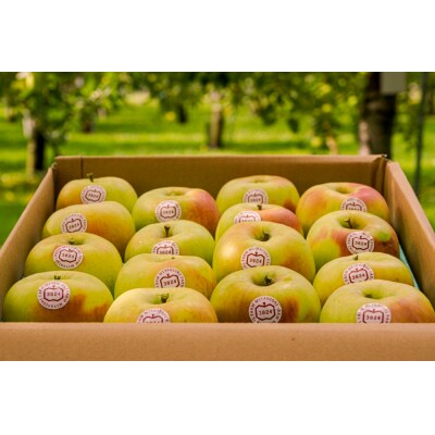 [贈答] 名月【約5kg 12から18玉入り】[0683]