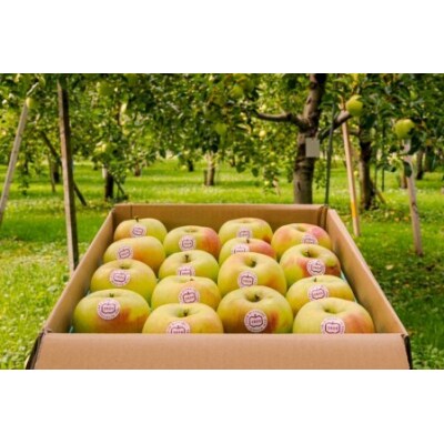 [贈答] 名月【約5kg 12から18玉入り】[0683]