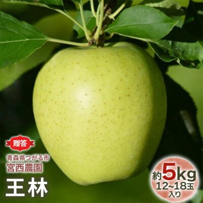 [贈答] 王林【約5kg 12から18玉入り】[0684]