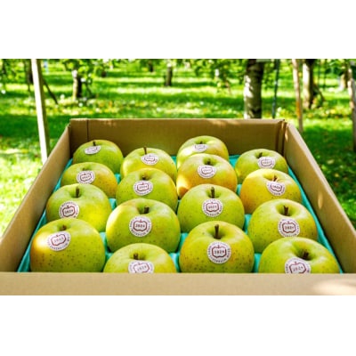 [贈答] 王林【約5kg 12から18玉入り】[0684]