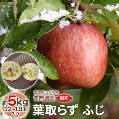 [贈答] 葉取らずふじ【約5kg 12から18玉入り】[0685]