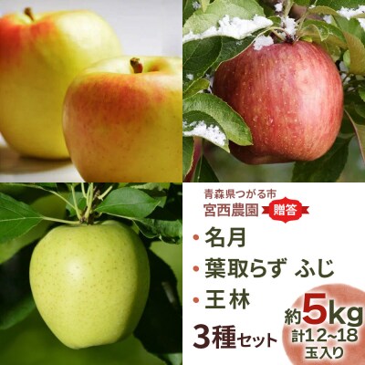 [贈答] 名月×葉取らずふじ×王林 [0687]