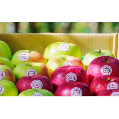 [贈答] 名月×葉取らずふじ×王林 [0687]