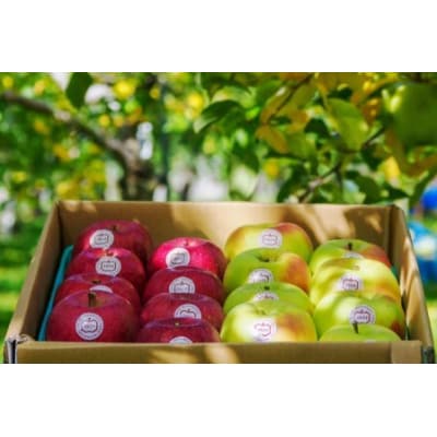 [贈答] 名月×葉取らずふじ×王林 [0687]