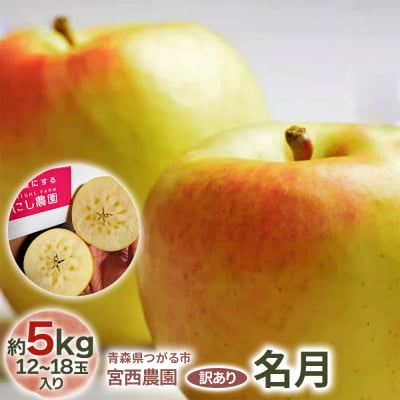 [訳あり] 名月【約5kg 12から18玉入り】[1050]