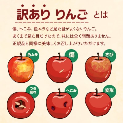 [訳あり] 名月【約5kg 12から18玉入り】[1050]