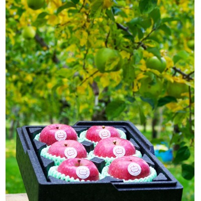 [贈答用] 葉取らずふじ【約2kg 6玉入り】[0680]