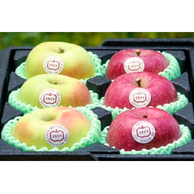 [贈答用] 名月×葉取らずふじ [0681]