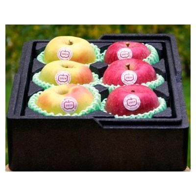 [贈答用] 名月×葉取らずふじ [0681]