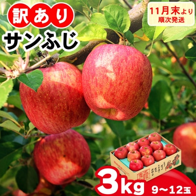 家庭用りんご サンふじ 3kg [0838]