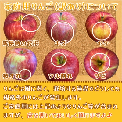 家庭用りんご サンふじ 3kg [0838]