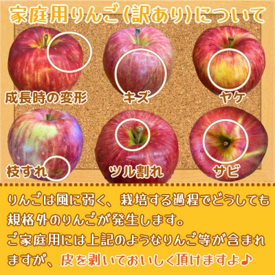 家庭用りんご サンふじ 3kg [0838]