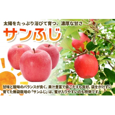 [訳あり] りんご サンふじ 3kg [0838]