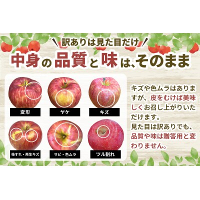 [訳あり] りんご サンふじ 3kg [0838]