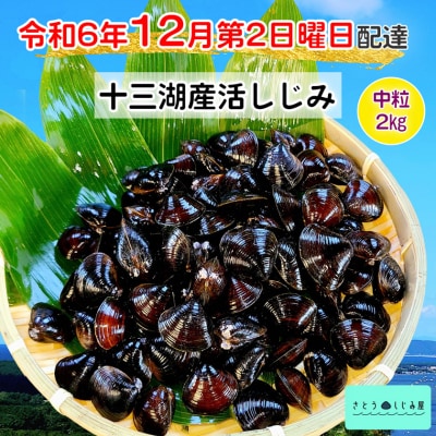 さとうしじみ屋の十三湖産活しじみ(中粒2kg) [0585]