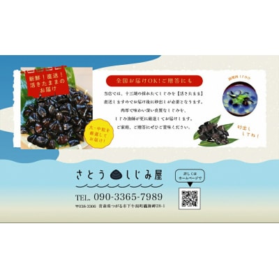 さとうしじみ屋の十三湖産活しじみ(中粒2kg) [0585]