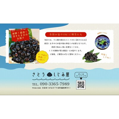 さとうしじみ屋の十三湖産活しじみ(中粒2kg) [0586]