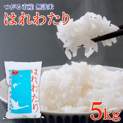 無洗米 はれわたり 5kg [0903]