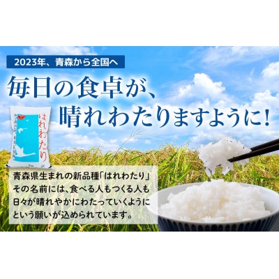 無洗米 はれわたり 5kg [0903]