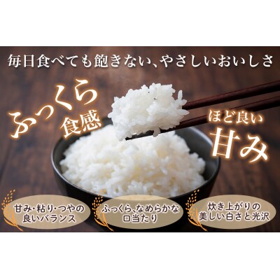 無洗米 はれわたり 5kg [0903]