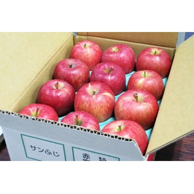 家庭用 サンふじ りんご 赤特 約3kg [0717]