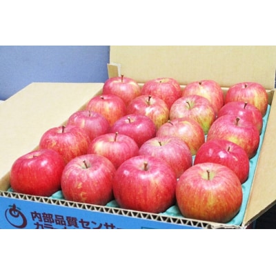家庭用 サンふじ りんご 赤特 約5kg [0718]