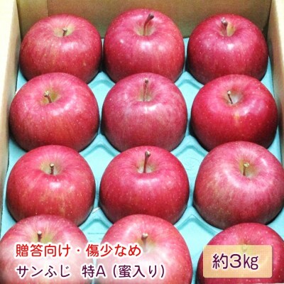 贈答用 サンふじ りんご 特A 約3kg [0719]