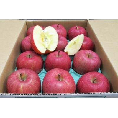 贈答用 サンふじ りんご 特A 約3kg [0719]