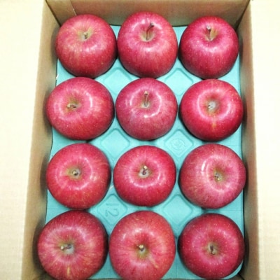 贈答用 サンふじ りんご 特A 約3kg [0719]