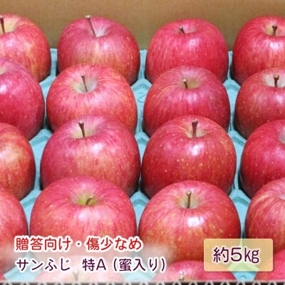 贈答用 サンふじ りんご 特A 約5kg [0720]