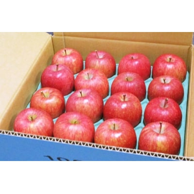 贈答用 サンふじ りんご 特A 約5kg [0720]